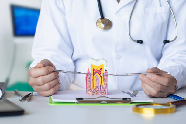 Best Emergency Care for Gum Disease in Dodge City, KS